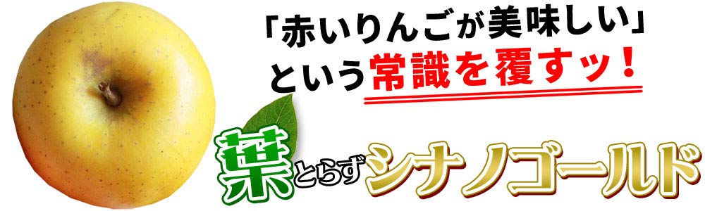 Amazon.co.jp: かめあし商店 青森 りんご 家庭用 訳アリ 葉とらず